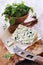 Blue cheese Roquefort and rocket salad