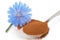 Blue chicory flower and powder of instant chicory