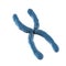 Blue chromosome