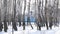 Blue church in birch grove in winter.