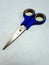Blue classical scissors