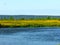 Blue clear water and river banks covered with dried yellow grass. Welcome first autumn days mood. Rivulet banks landscape.