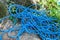 Blue Climbing Rope on the rock. Climbing equipment