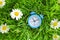 Blue clock on green grass