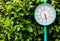 Blue clock pole vintage style with green bush