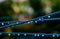 Blue clothing lines of a clothes spin with many raindrops at the string in front of a green background, after the rain. Retro way