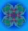 BLUE CLOVER TEXTURE MANDALA, IN BLUE AND GREEN, TURQUOISE BACKGROUND, TEXTURE IN ALL THE IMAGE