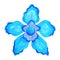 Blue color of chakra symbol throat concept, flower floral