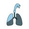 Blue color shading silhouette respiratory system with windpipe