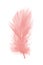 Blue color trends feather texture pattern background,Light red-pink