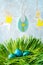 Blue colored Easter eggs in green grass, bunnies figurines in the background. Decorative concept of eggs` hunt.