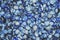 Blue colored shells background