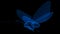Blue coloured Butterfly in Black background 3D rendering