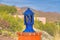 Blue column head lamp against the desert plants and mountain in Tucson, Arizona