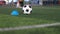 Blue cone marker and soccer ball on green artificial turf with blurry kid soccer team training