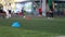 Blue cone marker and soccer ball moving on green artificial turf