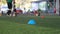 Blue cone marker and soccer ball moving on green artificial turf