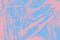 Blue coral pink paint brush strokes background