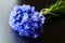 Blue cornflower bouquet