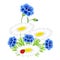 Blue cornflowers and chamomiles with ladybug on a white background.