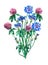 Blue cornflowers and pink clover shamrock bouquet.