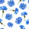 Blue cornflowers.Watercolor floral seamless pattern. Illustration with flowers for fabric,texile, scrapbooking,