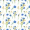 Blue cornflowers, wheat.Watercolor floral seamless pattern. Watercolour Illustration with flower