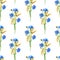 Blue cornflowers, wheat.Watercolor floral seamless pattern. Watercolour Illustration with flower