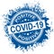 Blue Covid19 virus health test pass circle grunge stamp. 2019 nCov positive ink mark. Sars cov-2 world pandemy creative