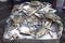 Blue Crabs sold at the fishmarket