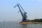Blue crane at shanghai huangpu river port
