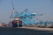 Blue cranes at the APM container terminal in the Maasvlakte Harbor in the Port of Rotterdam