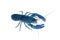 Blue crayfish Cherax inaquarium