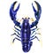 Blue crayfish or lobster, Procambarus alleni, electric blue crayfish, Florida cray, isolated, watercolor illustration
