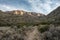 Blue Creek Trail Leads Into The Chisos Mountains