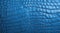 Blue crocodile leather texture.