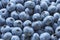 Blue crop variety blueberries top view background