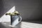 Blue cup with white limonium on the table.