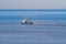 A blue cutter with a flock of seagulls on the North Sea