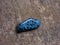 Blue dalmatian stone on wooden surface