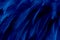 Blue dark feathers texture line background