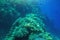 Blue Deep Seabed Underwater Background