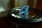 Blue diamond Rare and expensive On the glass floor