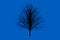 Blue die tree color Silhouettes art design
