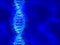 Blue DNA (deoxyribonucleic acid) background with waves