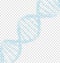 Blue DNA with polygon line on transparent abstract background