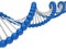 Blue DNA strand