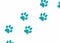 Blue dog footprints in white background illustration. Dog steps