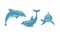 Blue Dolphin as Aquatic Mammal with Streamlined Body and Flippers Vector Set