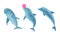 Blue Dolphin as Aquatic Mammal with Streamlined Body and Flippers Vector Set